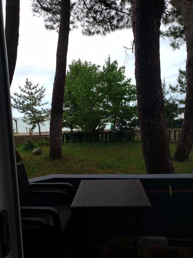 Midia Guest House Kobuleti Exterior foto